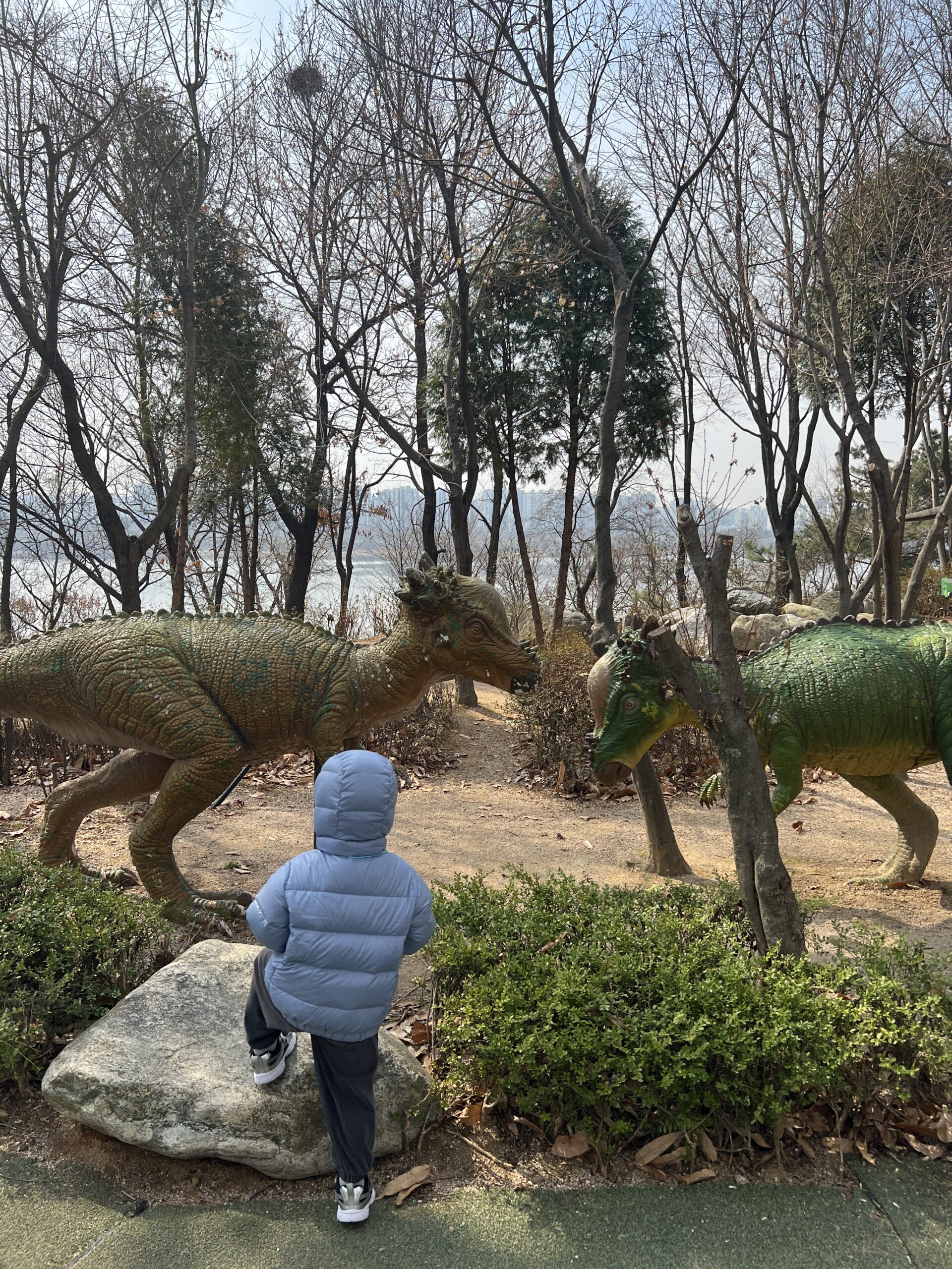 미호 박물관에 전시된 공룡 구경중